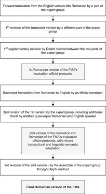 Translation of the Fugl-Meyer assessment into Romanian: Transcultural and semantic-linguistic adaptations and clinical validation